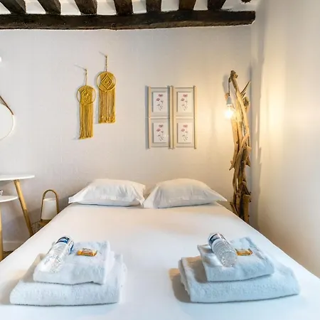 Chic Avec Patio - 2br 6p - Le Marais Parigi